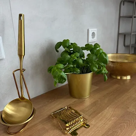 Premium-apartment Im Duisburger Sueden, Naehe Duesseldorf Flughafen & Messe, Komplett Ausgestattetes Mit Modernen Altbau-flair Apartament