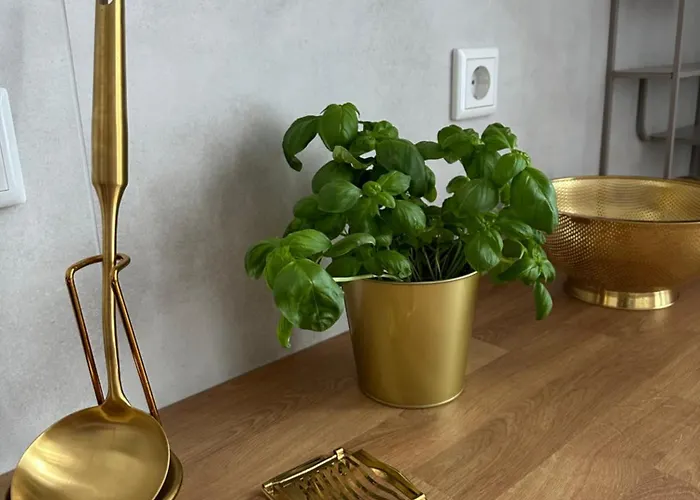 Premium-apartment Im Duisburger Sueden, Naehe Duesseldorf Flughafen & Messe, Komplett Ausgestattetes Mit Modernen Altbau-flair Appartement